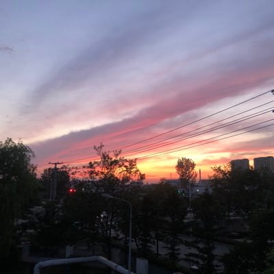 薬膳で使われたス-プ コラ-ゲンたっぷり、美容、健康に良い、女性に大人気、白汤もあり、辛さも選べる、35週類以上トッピング選びも楽しみ