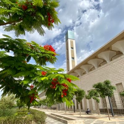 zhouding1983's profile picture. 