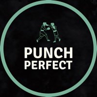 PPB 🎙(@PunchPerfectBox) 's Twitter Profile Photo