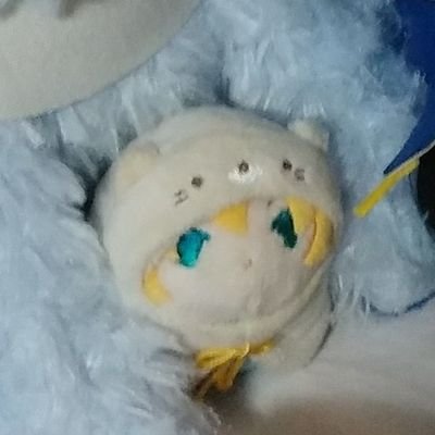 すぇるみちゃ🍊周防国さんのプロフィール画像