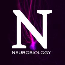The Department of Neurobiology at Northwestern University