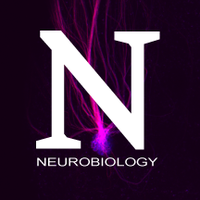 Neurobiology (@nuneurobio) 's Twitter Profile