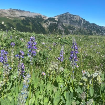 Wendy_Mae03's profile picture. 