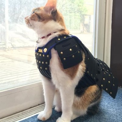 whatist88083713's profile picture. I fumble a lot