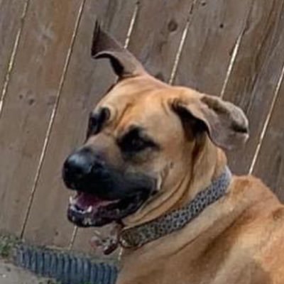 DebDebcaldwell2's profile picture. 