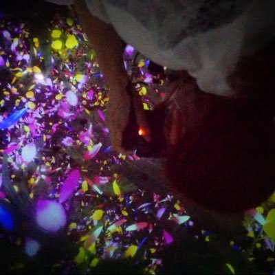 氷魚さんのプロフィール画像