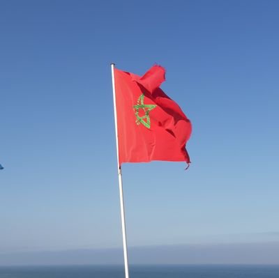 TarikAnjjar's profile picture. Moroccan citizen