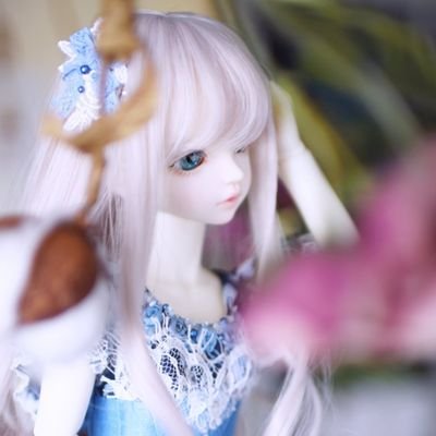 SOOMのserin&ricoドールオーナー。ドールの写真を撮っていたり宝石集めをたまにしていて、TRPGやゲームをして暮らしている。メンダコが好き