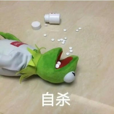 淡追🌟