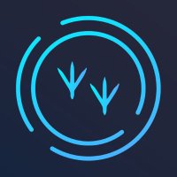 Bluetracker (@bluetrackernft) 's Twitter Profile