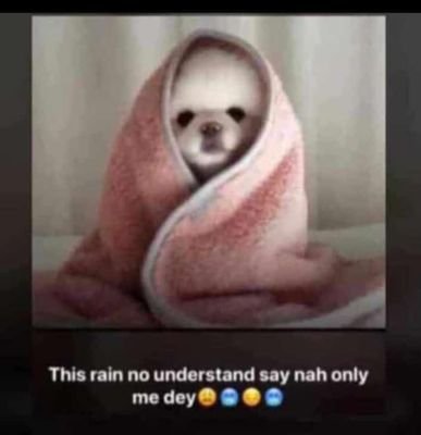 ShakirahOnileo2's profile picture. 