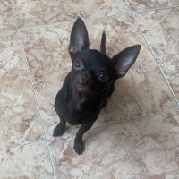 SanXeZ_91 (@91_sanxez) 's Twitter Profile Photo