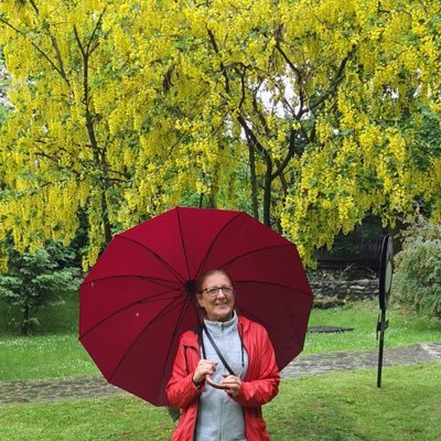 VicenCarrio's profile picture. 