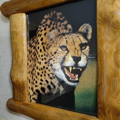 BusangTsotetsi2's profile picture. It is meek that we speak the truth before we die. Pan Africanist throughout