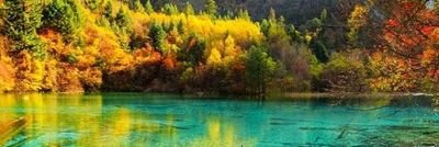 abohanae_n's profile picture. 