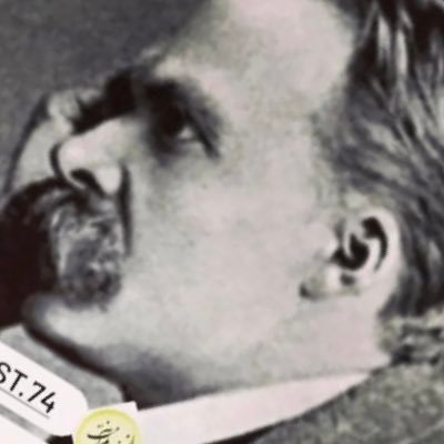 navidefarda's profile picture. Asker