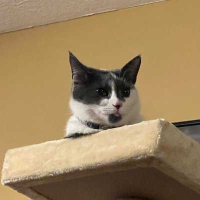 JasonWi15600439's profile picture. Kent State '19