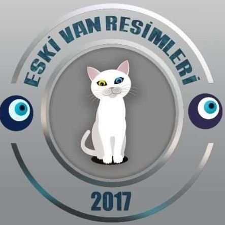Vanın ilk nostalji sayfası. Wêneyên Wanê û kevnar.
.
#van #eskivan