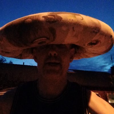 antsneo's profile picture. I'm not your president!