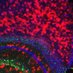 Orr laboratory (@orrlaboratory) Twitter profile photo Orr laboratory (@orrlaboratory) Twitter profile photo