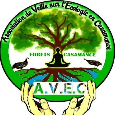 A.V.E.C : (Association de Veille sur l'Ecologie en Casamance)
