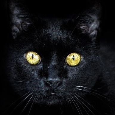 Emuonix's profile picture. .