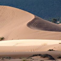 Strange Times (@_strange_times) 's Twitter Profile