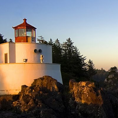 saiyam_sinhal's profile picture. 