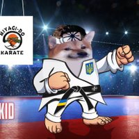 Галицький🇺🇦(@Halytsky_3IKING) 's Twitter Profile Photo