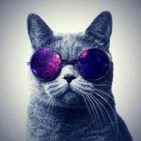 Carlos Ialea (@carlosialea) 's Twitter Profile