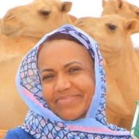 Wafaa ElFadil Saeed Abdelatef(@SaeedWafaa) 's Twitter Profile Photo