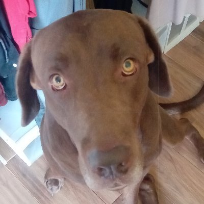 pablojewcabar's profile picture. 