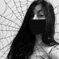 ₿lackwidow 🕷(@blackwidowbtc) 's Twitter Profile Photo