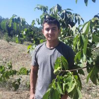 Mus Tafa. (@dj_remix19) 's Twitter Profile
