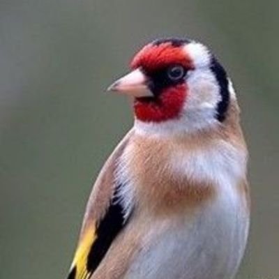 sadiksaidi3's profile picture. @sadiksaidi3