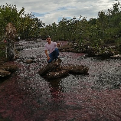 johnlaguna2244's profile picture. 