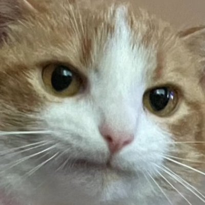 s0cial_din0's profile picture. Any pronouns//21//Bisexual// tired and wanting some art inspo