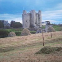 Trim Haymaking Festival (Scurlogstown Olympiad CLG (@haymakingtrim) 's Twitter Profile