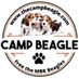 Camp Beagle (@camp_beagle) Twitter profile photo