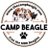 @camp_beagle