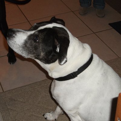 jdl000431415926's profile picture. 