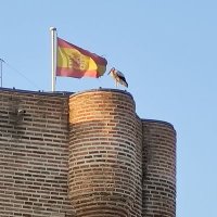 Las cosas de Arroyomolinos (@cosasdearroyo) 's Twitter Profile