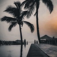 احمد البحيري (@ahmed2018334) 's Twitter Profile