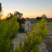 Servan (@servansanir) 's Twitter Profile