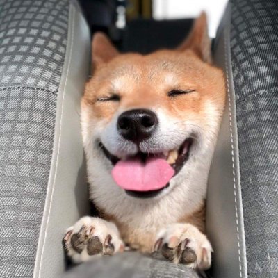 Watson95V's profile picture. Roses are red, violets are blue, omae wa mou shindeiru