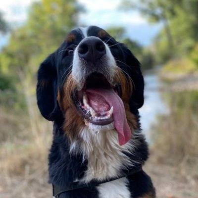 ralf0909's profile picture. 