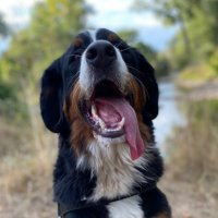 Ralf (@ralf0909) 's Twitter Profile Photo