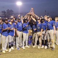 vrl (@vlibrandi) 's Twitter Profile