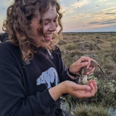 MSc Candidate @ TrentU studying Short-billed Dowitcher and Stilt Sandpiper migration in Churchill, MB
shore/all/live/dead birds lover 🐻‍❄️🌈🦉