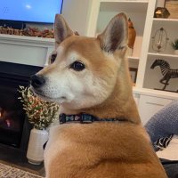 MAEE (@julendsl) Twitter profile photo